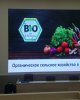 "Органическое земледелие на примере Германии"