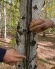 Көшпелі сабақ