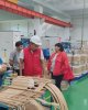 Экскурсия на Alageum Electric