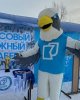 жаппай шаңғы жарысы