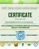Международная Летняя Школа – 2024